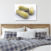 Conceptueel Afbeelding van bacteriën 2 Canvas Afdruk (Insitu (Slaapkamer))