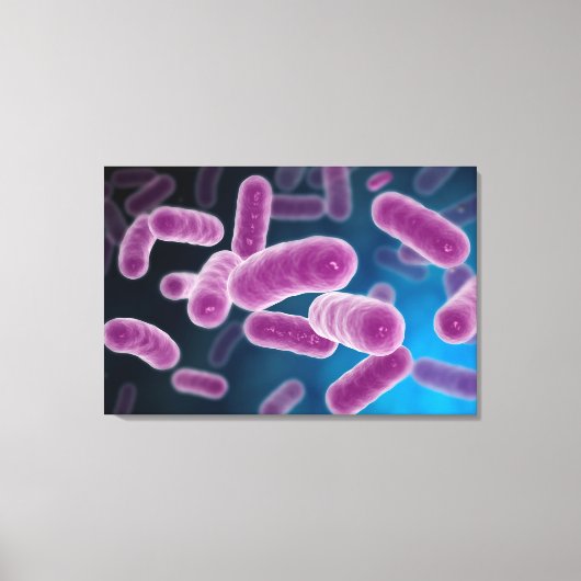 Conceptueel Afbeelding van bacteriën 3 Canvas Afdruk (Voorkant)