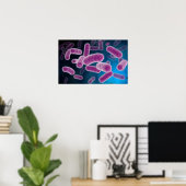 Conceptueel Afbeelding van bacteriën 3 Poster (Thuiskantoor)