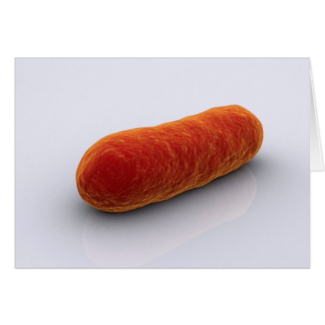 Conceptueel Afbeelding van bacteriën 4 (Voorkant Horizontaal)