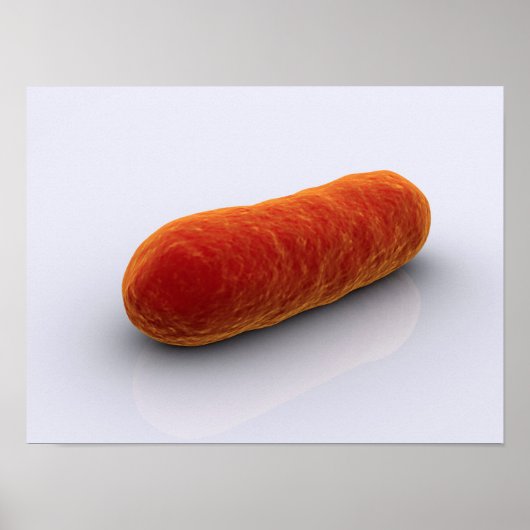 Conceptueel Afbeelding van bacteriën 4 Poster (Voorkant)