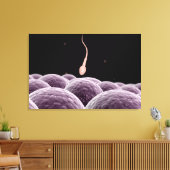 Conceptueel Afbeelding van bevruchting Canvas Afdruk (Insitu (Woonkamer))