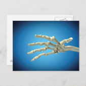 Conceptueel Afbeelding van Botten in de hand 1 Briefkaart (Voorkant / Achterkant)