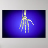 Conceptueel Afbeelding van Botten in de hand 2 Poster (Voorkant)