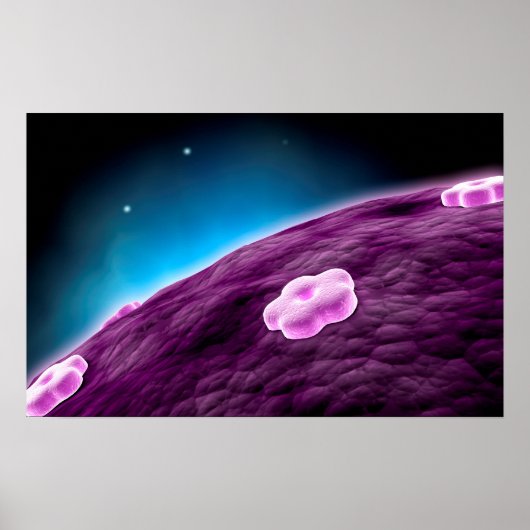 Conceptueel Afbeelding van celkern Poster (Voorkant)