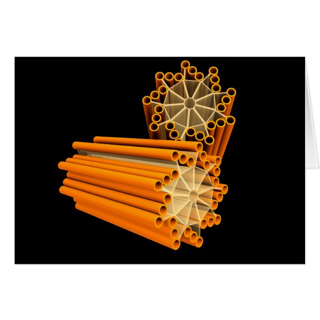 Conceptueel Afbeelding van centriolen 1 (Voorkant Horizontaal)