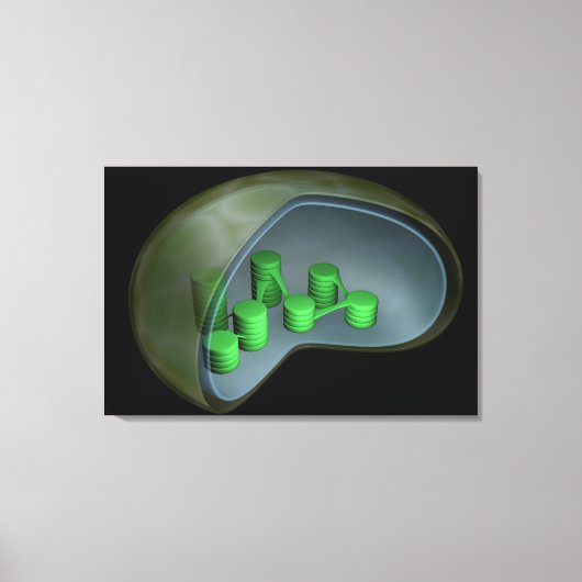 Conceptueel Afbeelding van chloroplast 1 Canvas Afdruk (Voorkant)