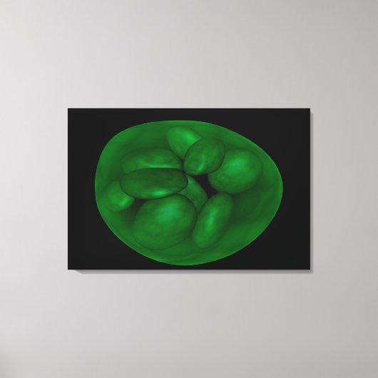 Conceptueel Afbeelding van chloroplast 2 Canvas Afdruk (Voorkant)