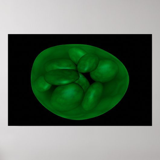Conceptueel Afbeelding van chloroplast 2 Poster (Voorkant)
