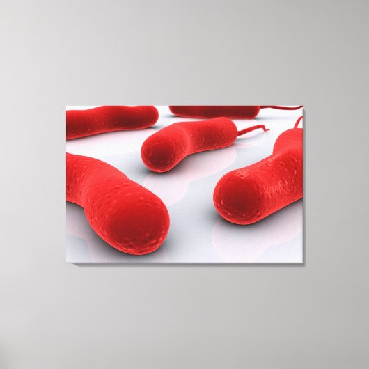 Conceptueel Afbeelding van cholerae bacteriën Canvas Afdruk (Voorkant)