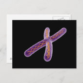 Conceptueel Afbeelding van chromosoom 2 Briefkaart (Voorkant / Achterkant)