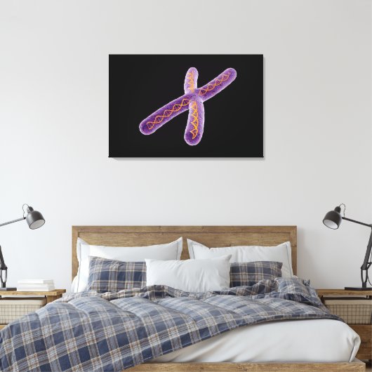 Conceptueel Afbeelding van chromosoom 2 Canvas Afdruk (Insitu (Slaapkamer))