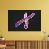 Conceptueel Afbeelding van chromosoom 2 Canvas Afdruk (Insitu (Woonkamer))