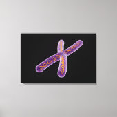 Conceptueel Afbeelding van chromosoom 2 Canvas Afdruk (Voorkant)