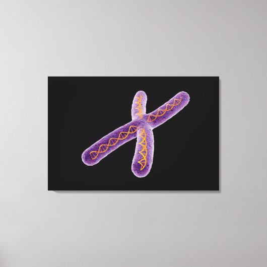 Conceptueel Afbeelding van chromosoom 2 Canvas Afdruk (Voorkant)