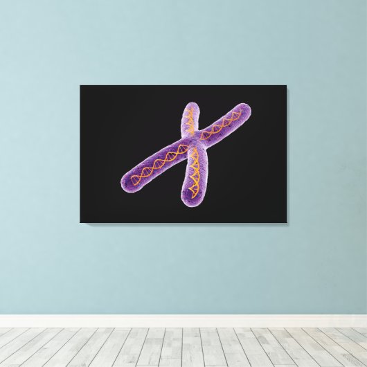 Conceptueel Afbeelding van chromosoom 2 Canvas Afdruk (Insitu (Houten vloer))
