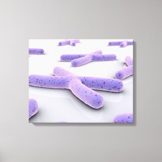 Conceptueel Afbeelding van chromosoom 4 Canvas Afdruk (Voorkant)