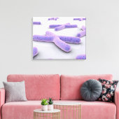 Conceptueel Afbeelding van chromosoom 4 Canvas Afdruk (Insitu (Woonkamer))