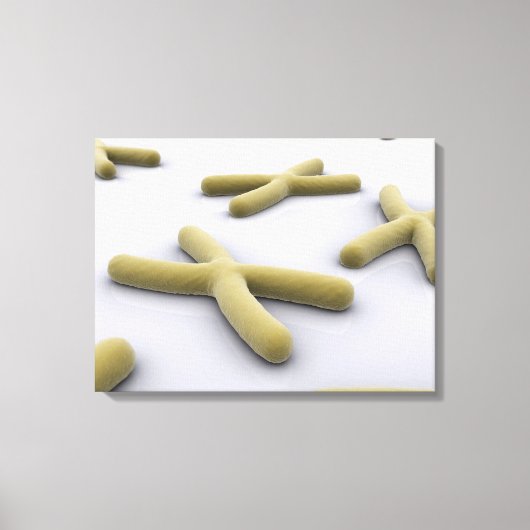 Conceptueel Afbeelding van chromosoomvrij 1 Canvas Afdruk (Voorkant)