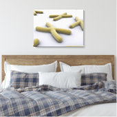 Conceptueel Afbeelding van chromosoomvrij 1 Canvas Afdruk (Insitu (Slaapkamer))