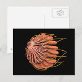 Conceptueel Afbeelding van de anatomie van de bors Briefkaart (Voorkant / Achterkant)