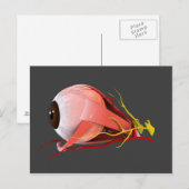 Conceptueel Afbeelding van de anatomie van de mens Briefkaart (Voorkant / Achterkant)