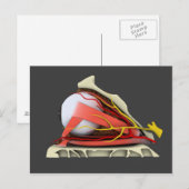 Conceptueel Afbeelding van de anatomie van de mens Briefkaart (Voorkant / Achterkant)