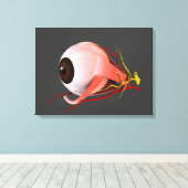 Conceptueel Afbeelding van de anatomie van de mens Canvas Afdruk (Insitu (Houten vloer))