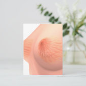 Conceptueel Afbeelding van de borstanatomie van he Briefkaart (Staand voorkant)