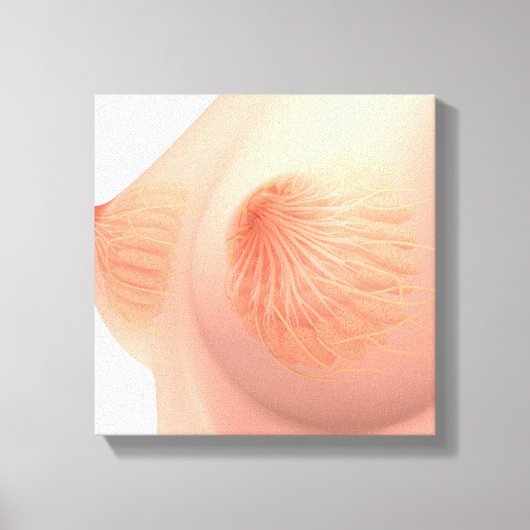 Conceptueel Afbeelding van de borstanatomie van he Canvas Afdruk (Voorkant)