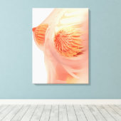 Conceptueel Afbeelding van de borstanatomie van he Canvas Afdruk (Insitu (Houten vloer))