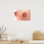 Conceptueel Afbeelding van de borstanatomie van he Poster (Keuken)