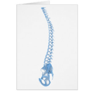 Conceptueel Afbeelding van de menselijke ruggengra