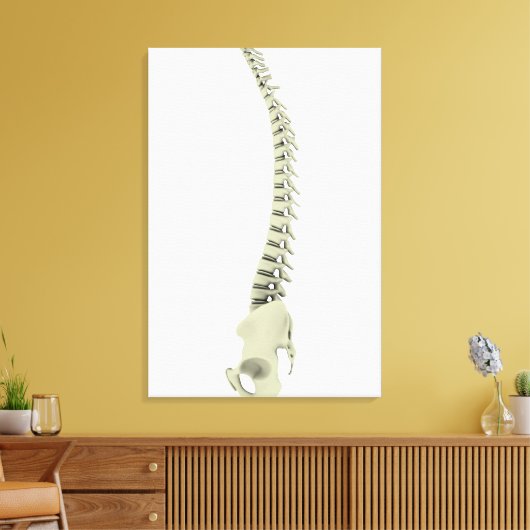 conceptueel Afbeelding van de menselijke ruggengra Canvas Afdruk (Insitu (Woonkamer))