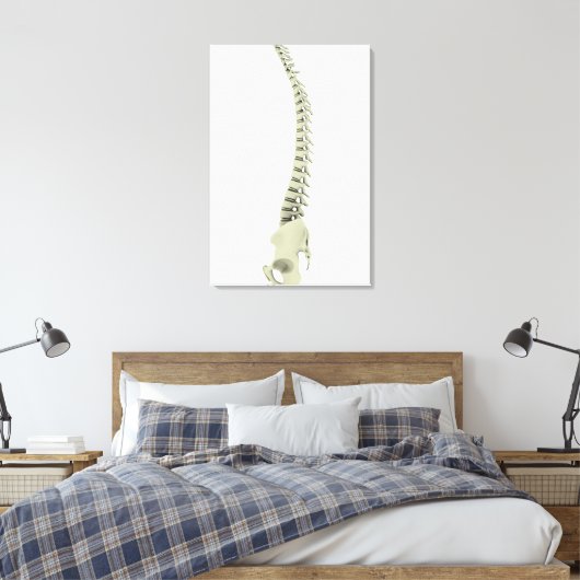 conceptueel Afbeelding van de menselijke ruggengra Canvas Afdruk (Insitu (Slaapkamer))