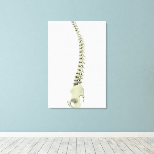 conceptueel Afbeelding van de menselijke ruggengra Canvas Afdruk (Insitu (Houten vloer))