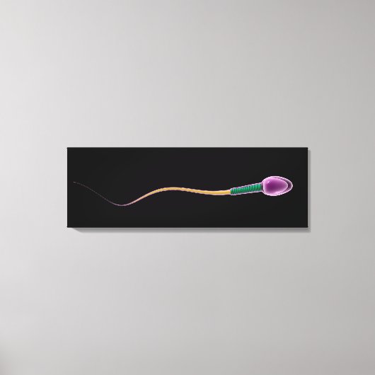 Conceptueel Afbeelding van de Sperm-anatomie Canvas Afdruk (Voorkant)