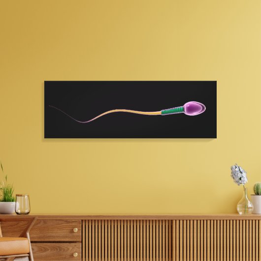 Conceptueel Afbeelding van de Sperm-anatomie Canvas Afdruk (Insitu (Woonkamer))