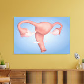 Conceptueel Afbeelding van de voortplantingsorgane Canvas Afdruk (Insitu (Woonkamer))
