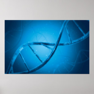 Conceptueel Afbeelding van DNA 6 Poster