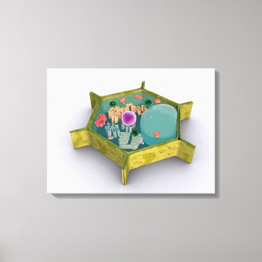 Conceptueel Afbeelding van een Plant cel Canvas Afdruk (Voorkant)