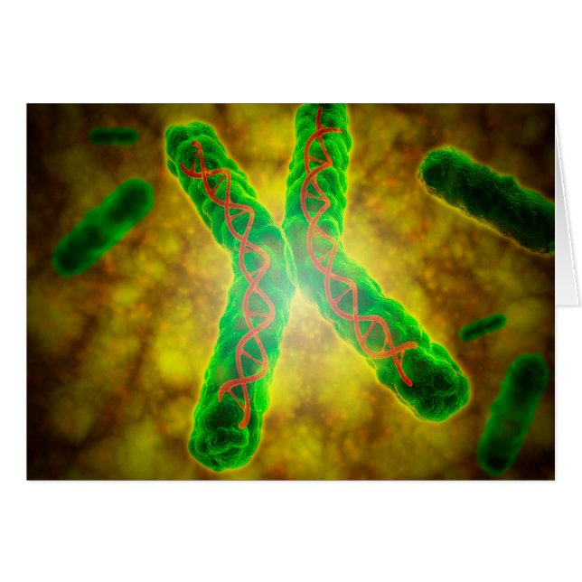 Conceptueel Afbeelding van een telomeer (Voorkant Horizontaal)