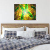 Conceptueel Afbeelding van een telomeer Canvas Afdruk (Insitu (Slaapkamer))