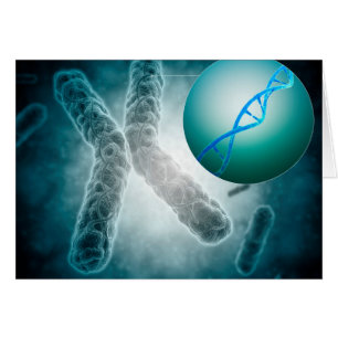 Conceptueel Afbeelding van een telomeer met DNA