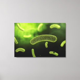 Conceptueel Afbeelding van gemeenschappelijke bact Canvas Afdruk
