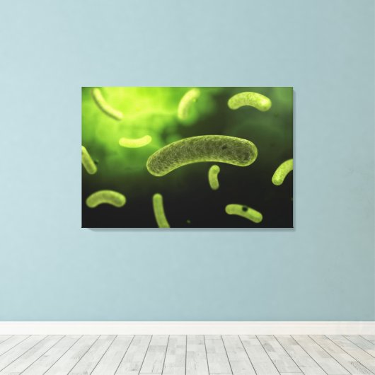 Conceptueel Afbeelding van gemeenschappelijke bact Canvas Afdruk (Insitu (Houten vloer))