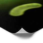 Conceptueel Afbeelding van gemeenschappelijke bact Poster (Hoek)