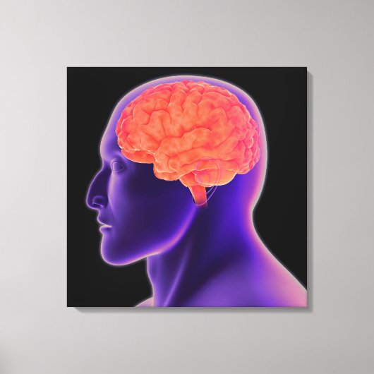 Conceptueel Afbeelding van het menselijk brein 1 Canvas Afdruk (Voorkant)