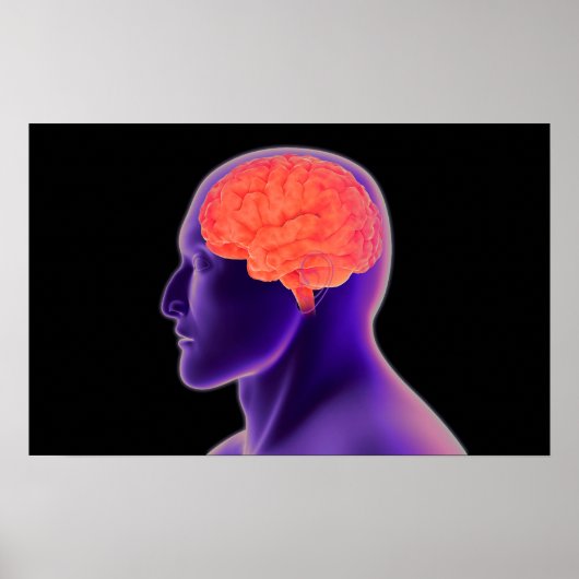 Conceptueel Afbeelding van het menselijk brein 1 Poster (Voorkant)