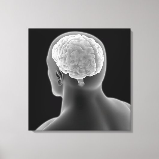 Conceptueel Afbeelding van het menselijk brein 2 Canvas Afdruk (Voorkant)